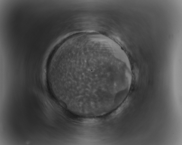 X0000089730342200707121453