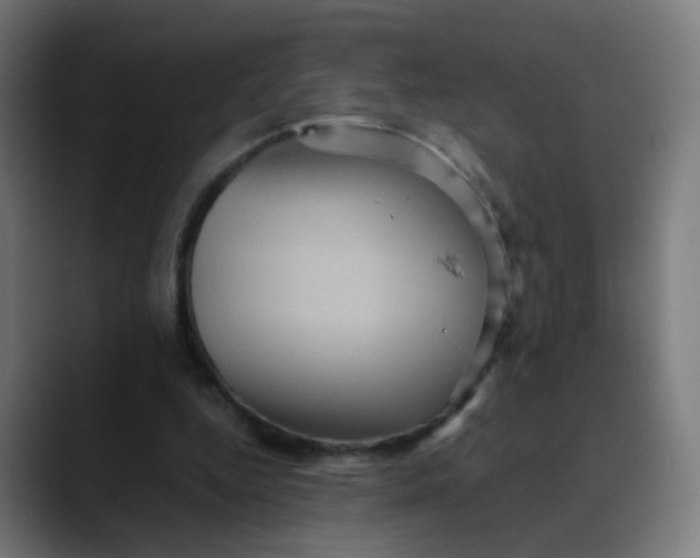 X0000089730344200707121453