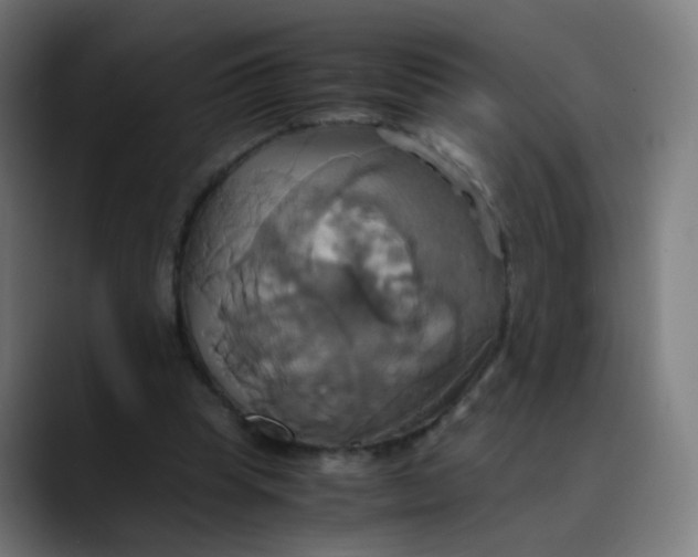 X0000089730345200707121453