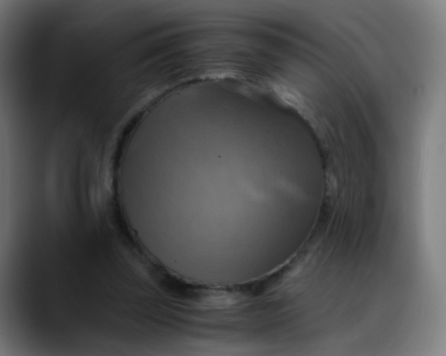 X0000089730347200707121453