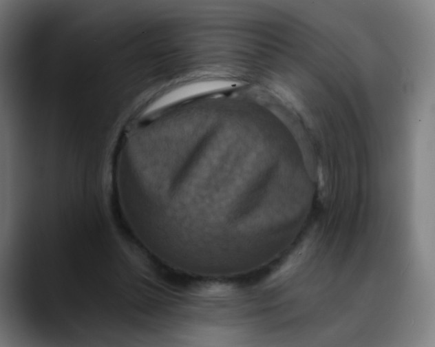 X0000089730348200707121453