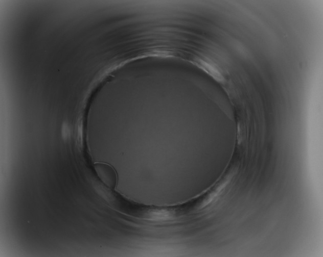 X0000089730349200707121453