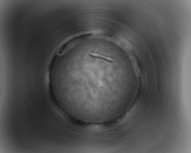 X0000089730350200707121453