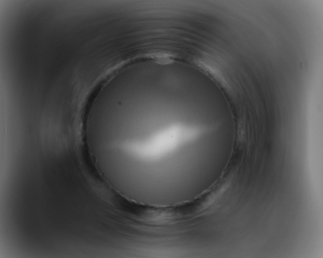X0000089730351200707121453