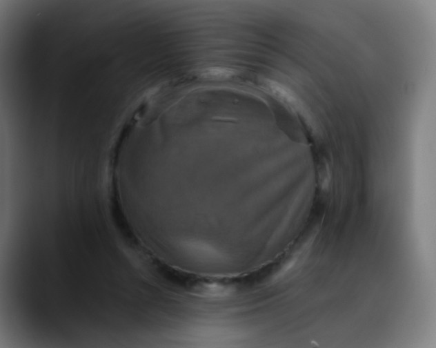 X0000089730352200707121453