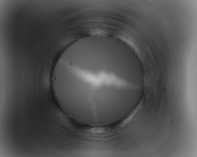 X0000089730353200707121453