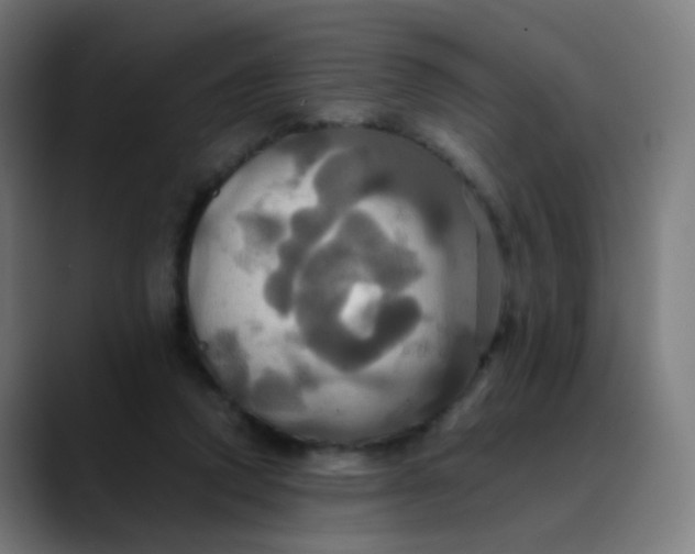 X0000089730354200707121453