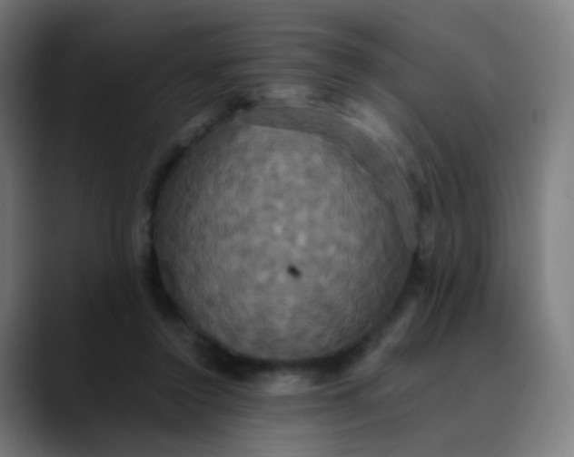 X0000089730356200707121453
