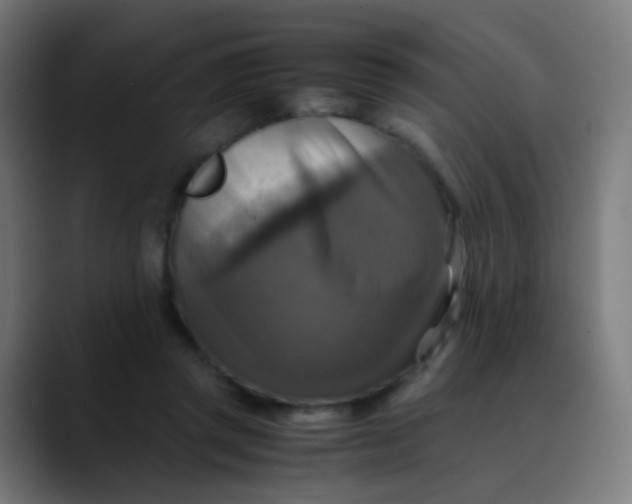 X0000089730357200707121453