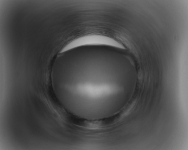 X0000089730359200707121453