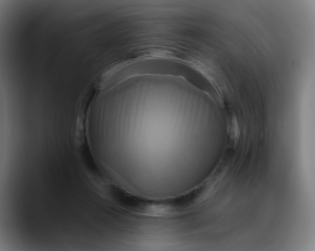 X0000089730360200707121453