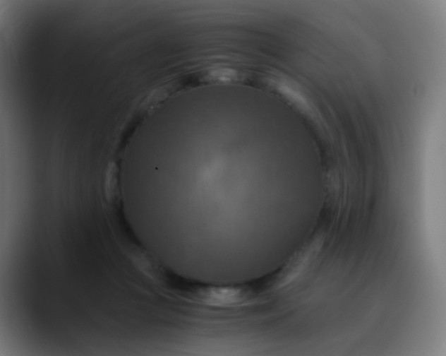 X0000089730361200707121453