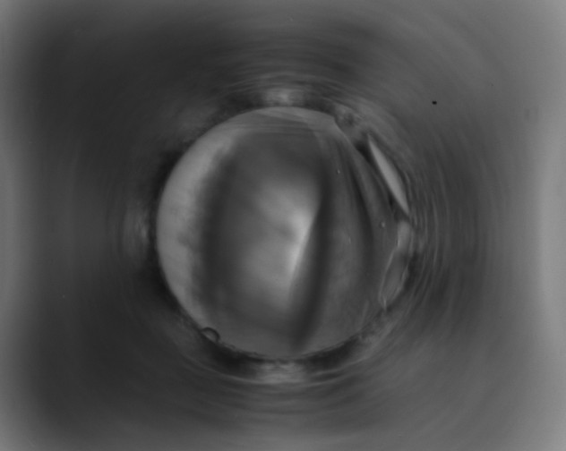 X0000089730363200707121453