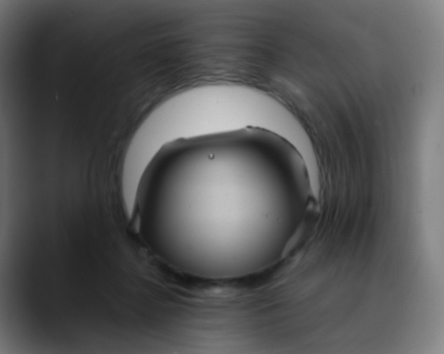 X0000089730364200707121453