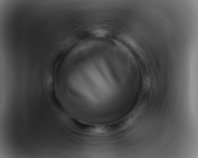 X0000089730365200707121453