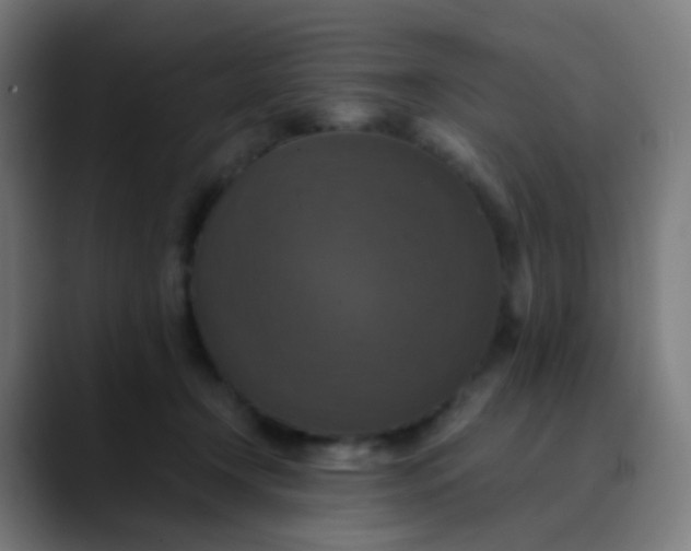 X0000089730366200707121453