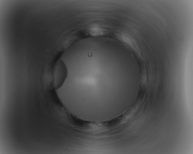 X0000089730367200707121453