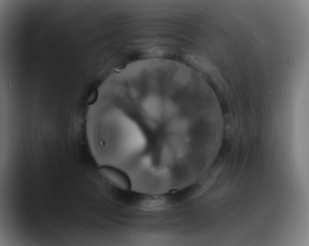 X0000089730369200707121453