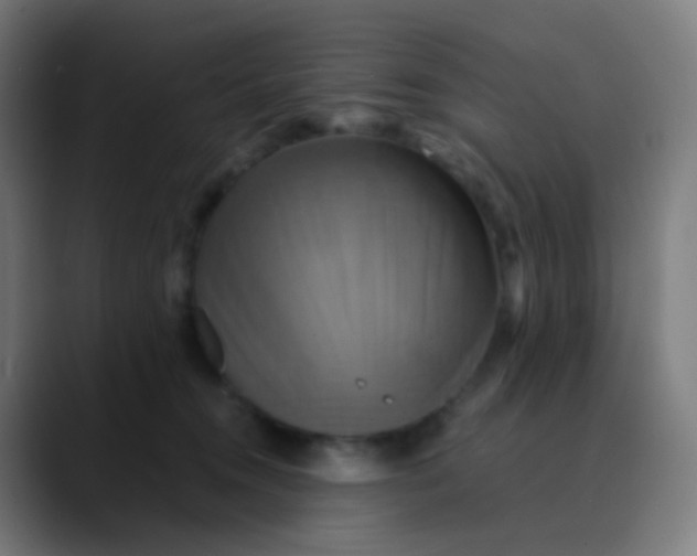 X0000089730372200707121453