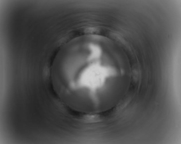 X0000089730375200707121453