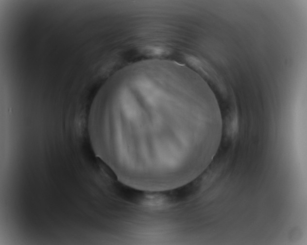 X0000089730376200707121453