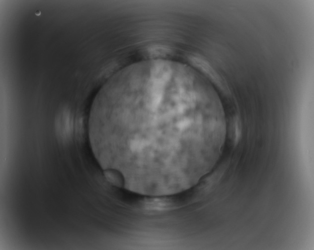 X0000089730378200707121453