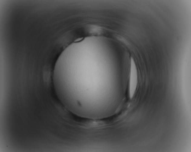 X0000089730379200707121453