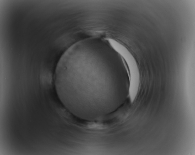 X0000089730380200707121453