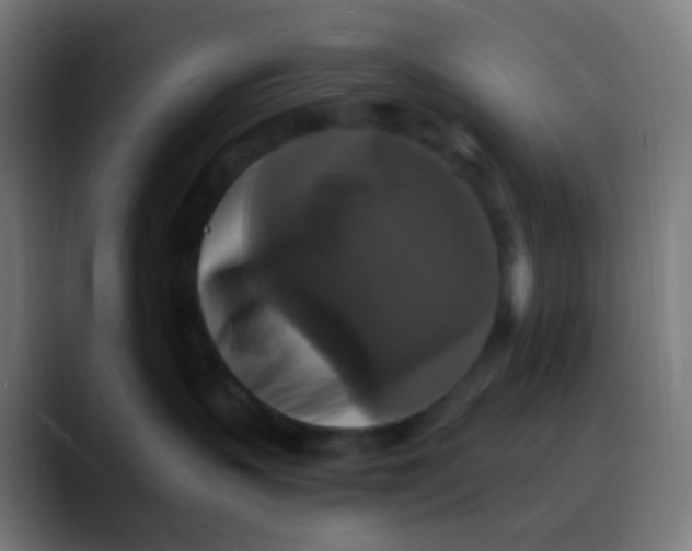 X0000089730383200707121453