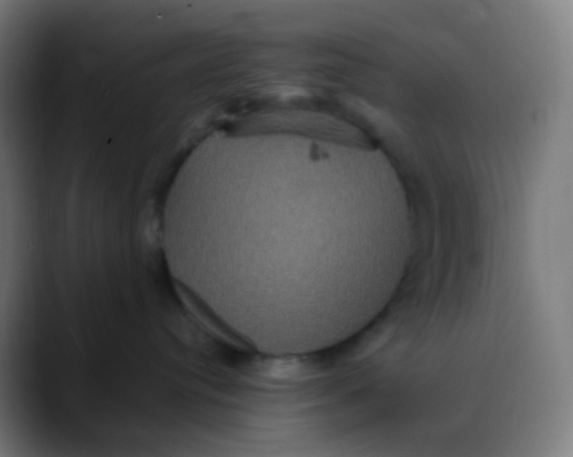 X0000089730384200707121453