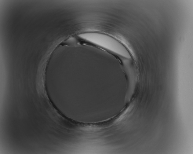 X0000089730385200707121453