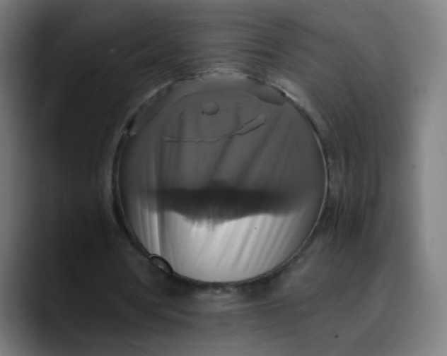 X0000089730386200707121453