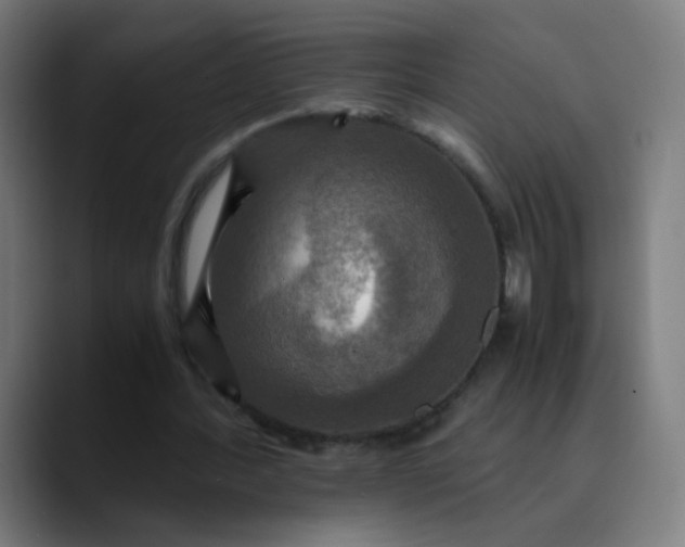 X0000089730388200707121453