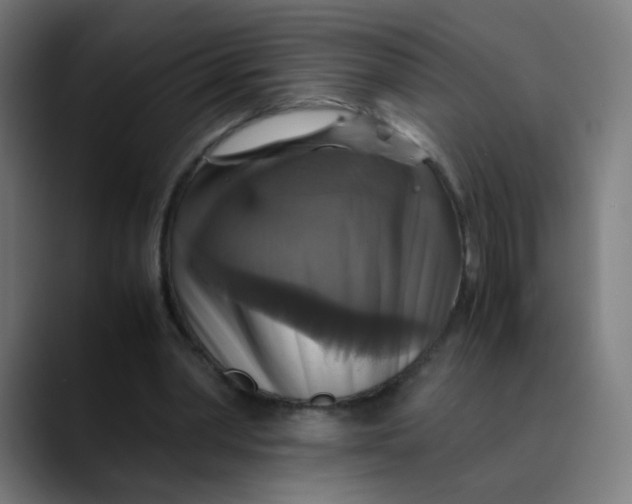 X0000089730390200707121453