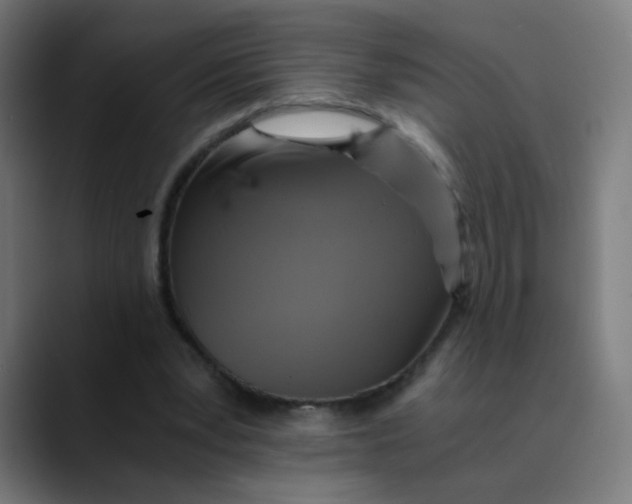 X0000089730391200707121453