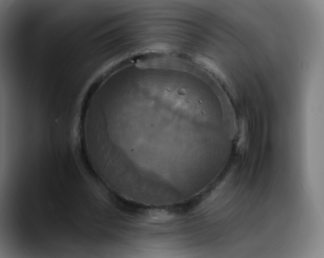 X0000089730392200707121453