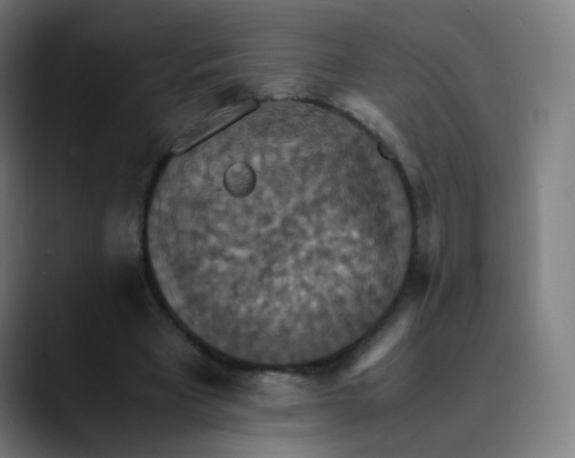 X0000089730393200707121453