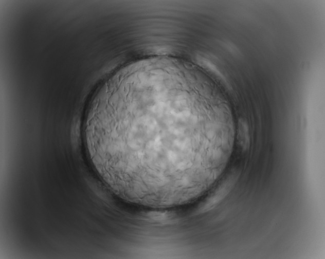 X0000089730394200707121453