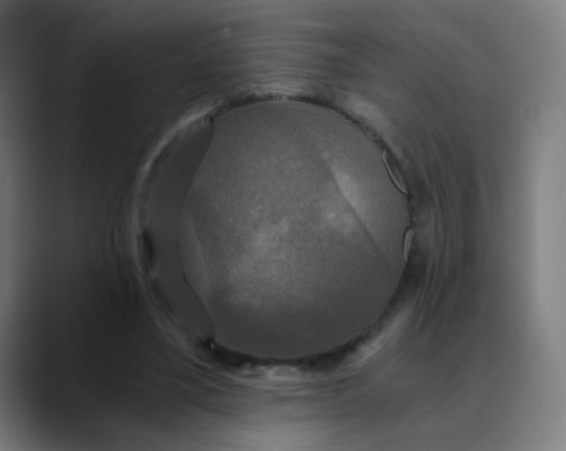 X0000089730395200707121453