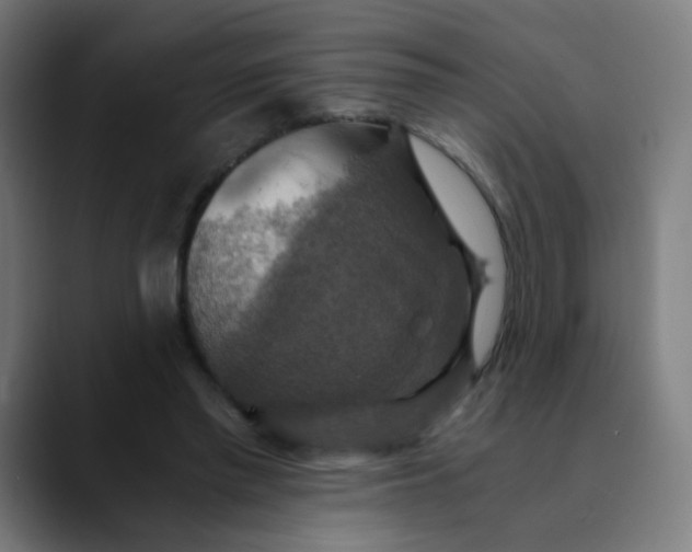 X0000089730397200707121453