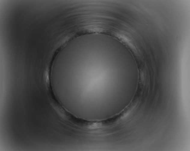 X0000089730398200707121453