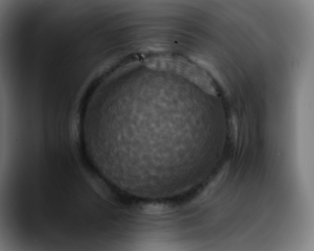 X0000089730400200707121453