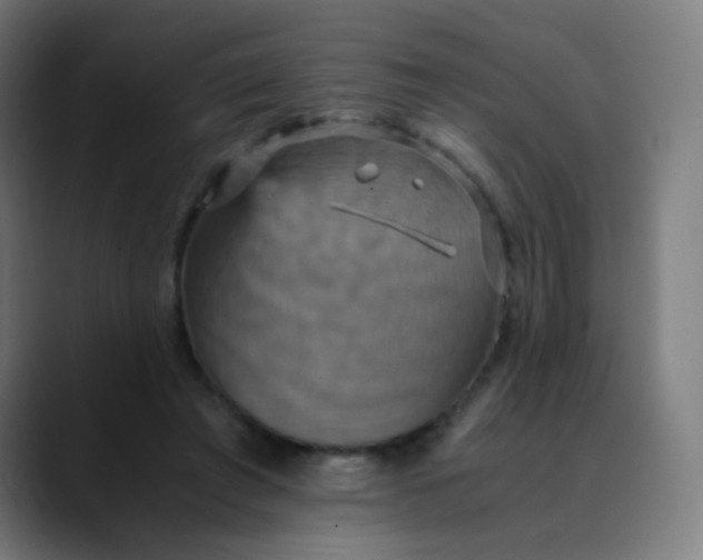 X0000089730401200707121453
