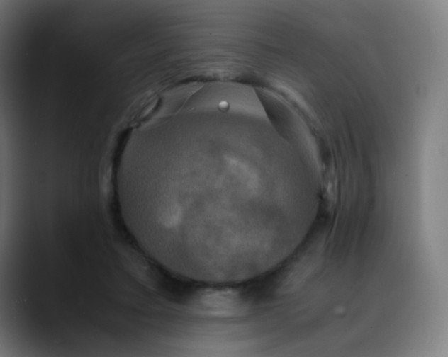 X0000089730403200707121453