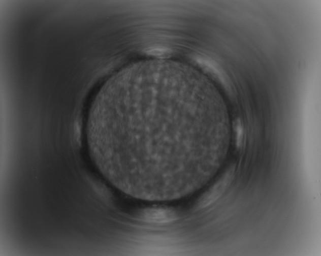 X0000089730404200707121453
