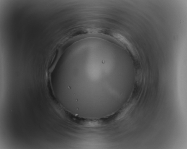 X0000089730405200707121453