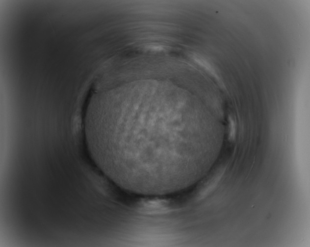 X0000089730407200707121453