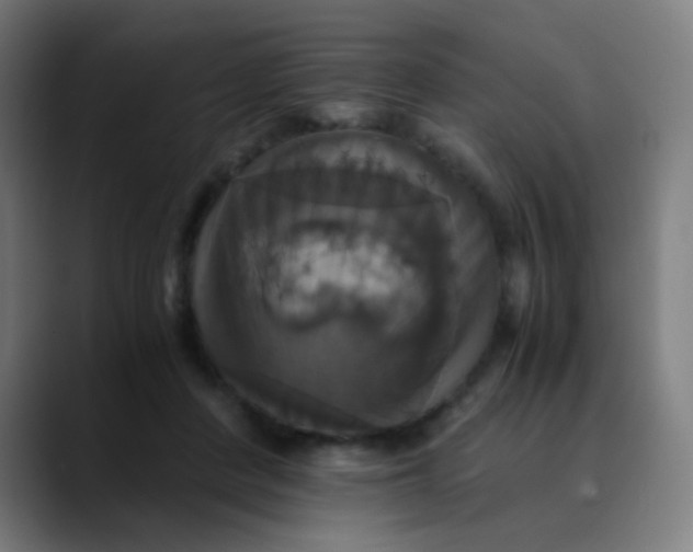 X0000089730408200707121453