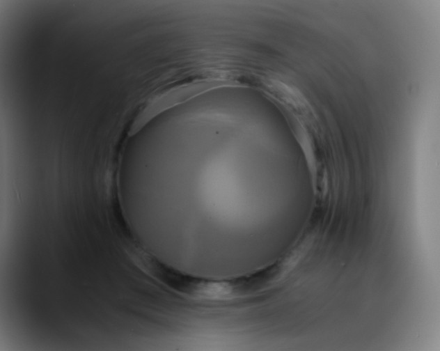 X0000089730409200707121453