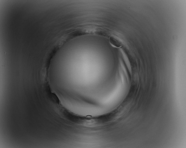 X0000089730411200707121452